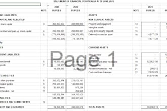 prepare balance sheet profit and loss cashflow and financial projections