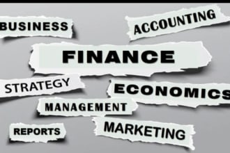 do urgent essay writing in economics finance history english paper