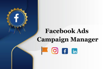 your facebook ads campaign manager and ig and linkedin ads