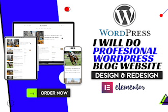 do professional wordpress blog website design