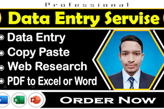do data entry, copy paste, web research and PDF convert