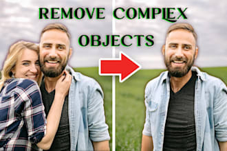 remove complex, person, object from photos or replace