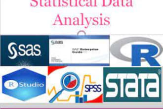 do statistical projects and econometrics using spss,  r, stata, excel