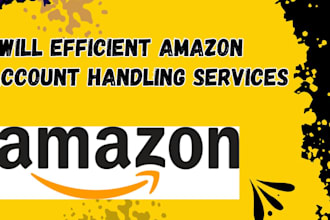 efficient amazon account handling services