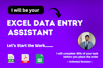 do excel data entry, data entry, copy paste and website data entry tasks
