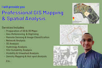 provide professional gis mapping and data analysis services