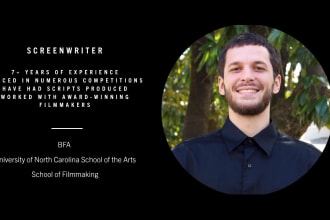 write you a qualified screenplay or television script
