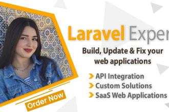 quickly develop a laravel web application with customization