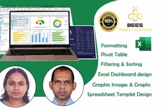 be your data analyst and excel data visualization expert