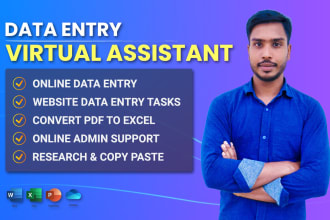 do virtual assistant data entry and admin tasks