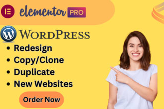 redesign, rebuild, duplicate or copy clone your wordpress website