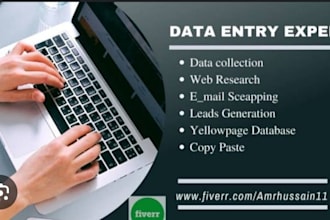 do pivot table and charts, data cleaning, convert PDF to excel,dataentry