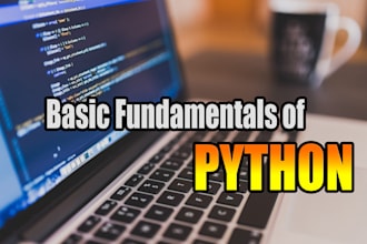 teach you the basic of python programming language
