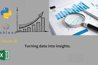 be your data analyst and will do financial management with reports