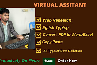 do english typing, web research from sites and all kinds of data entry