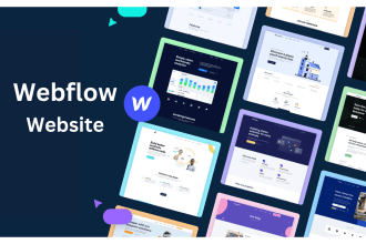 develop your webflow website, be webflow developer, webflow expert and add cms
