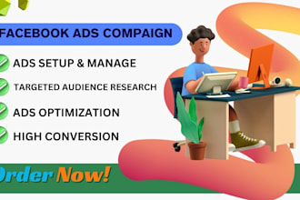 be your facebook ads manager, run fb ads campaigns and instagram marketing