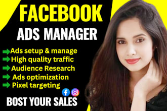 be your facebook ads manager expert