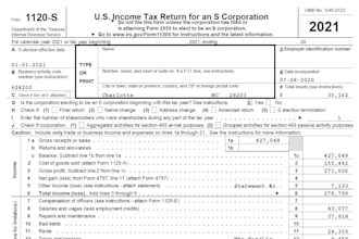 prepare US tax forms like form 1040