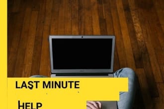 proofread and edit your personal statement and college application essays