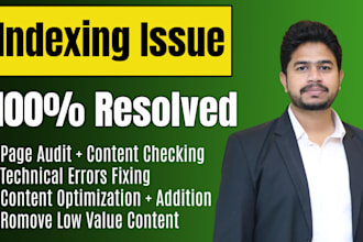 resolved google indexing issues for ecommerce store and blog