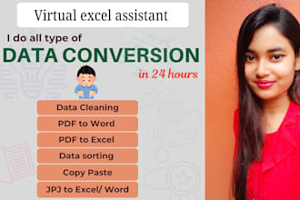 do covert pdf to excel, data cleaning and insert data