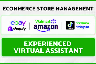 be your virtual assistant for tiktok, amazon, ebay, shopify and walmart store