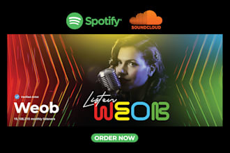 do excellent spotify banner, cover arts, soundcloud banner for you