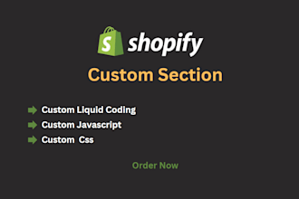 build custom liquid shopify dynamic sections