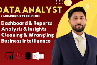 do expert data analysis and professional reporting