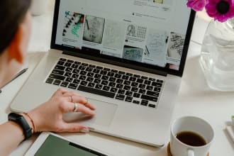 handle your digital marketing, blogs and articles