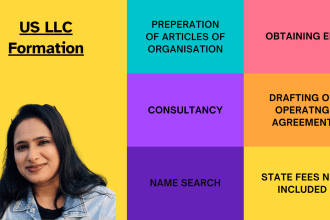 set up a llc limited liability company in US