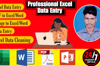 best excel data entry specialist,data analytics,pdf to excel