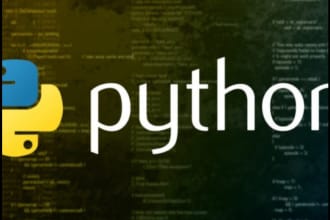 write, edit, and debug custom python program