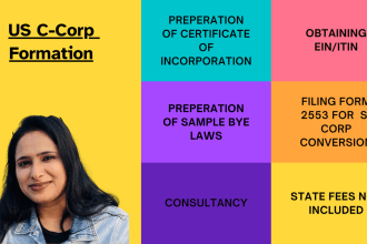 incorporate a c corp in USA
