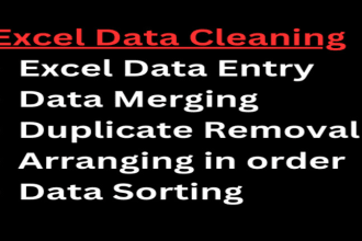 clean, data entry, merge, sort excel or CSV data very faster