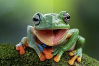 upscale images to 4k with enhanced sharpness and vibrant colors