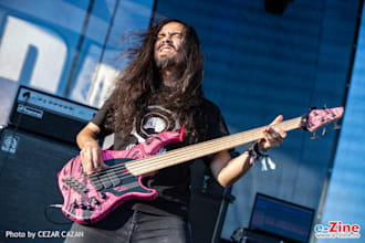 track dingwall bass professionaly