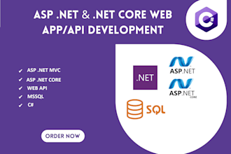 professional asp net API development and database design expert