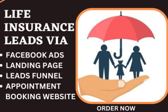 life insurance leads life insurance landing page website insurance sales funnel