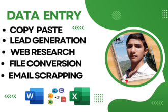 be your virtual assistant data entry for 4 hours
