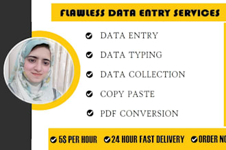 do flawless remote data entry , copy paste and typing job