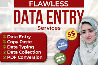 do flawless data entry , copy paste and typing job