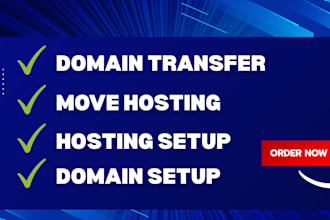 transfer your website to new hosting or domain