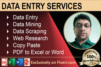 do accurate data entry, typing, excel data entry, pdf to excel at low price
