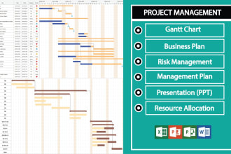 create gantt chart, project plan, project management task in  ms project, excel