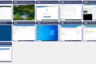 provide professional network security solutions