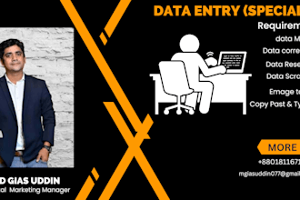 do data entry,copy paste,web research,typing ,data scraping and data conversion