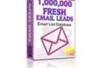 send you 1million plus very fresh USA optin emails of opportunity seekers in us along with name, address, phone, ip address