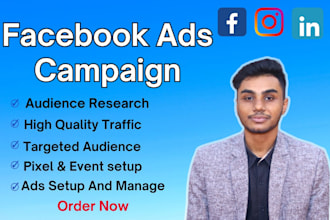 setup facebook ads campaign and instagram ads campaign, fb ads